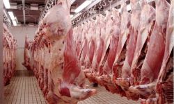 45   مليون دولار استيرادات العراق من اللحوم الأسترالية ومنتجاتها العام الماضي